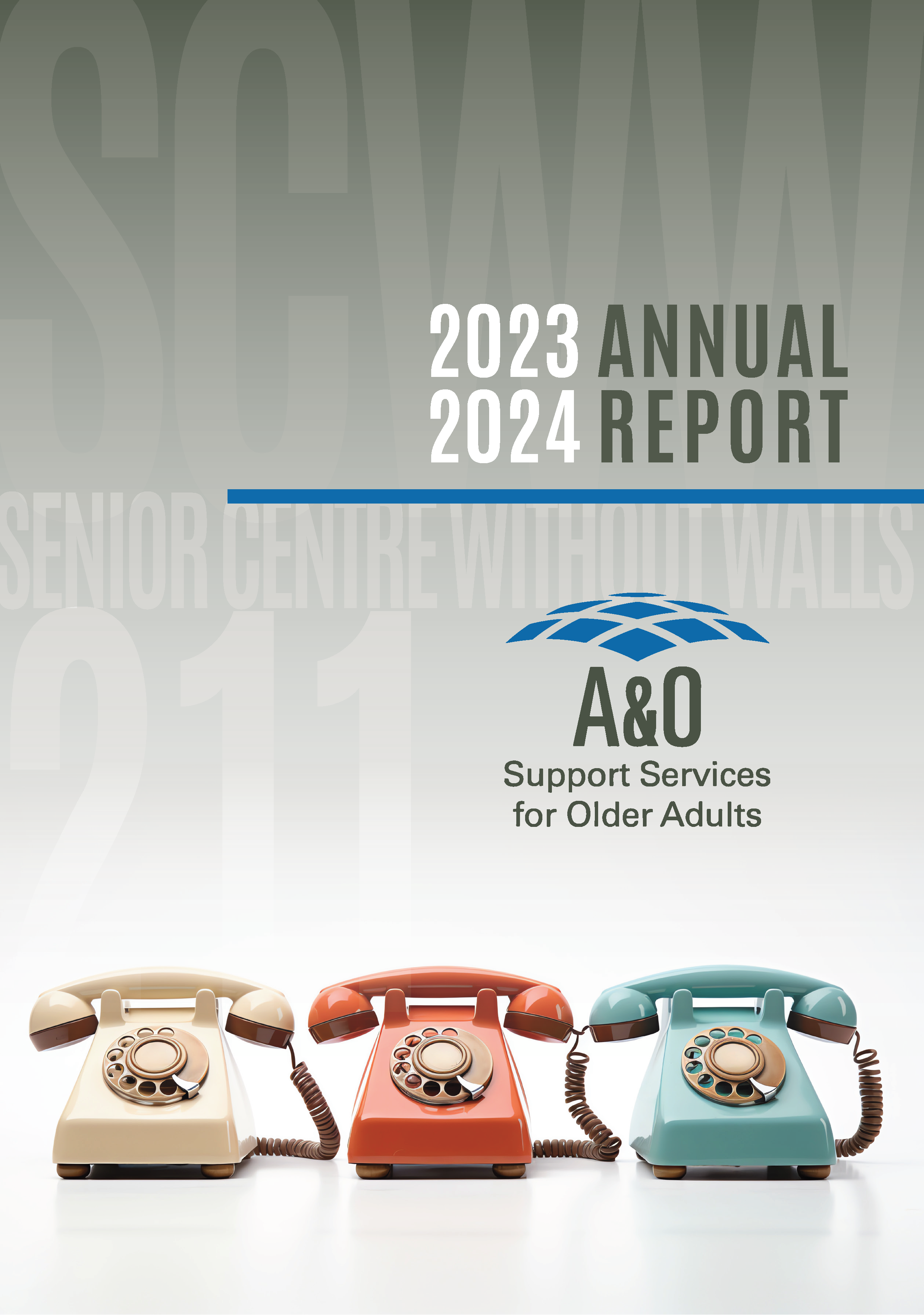 AO-2024-Annual-Report – website cover